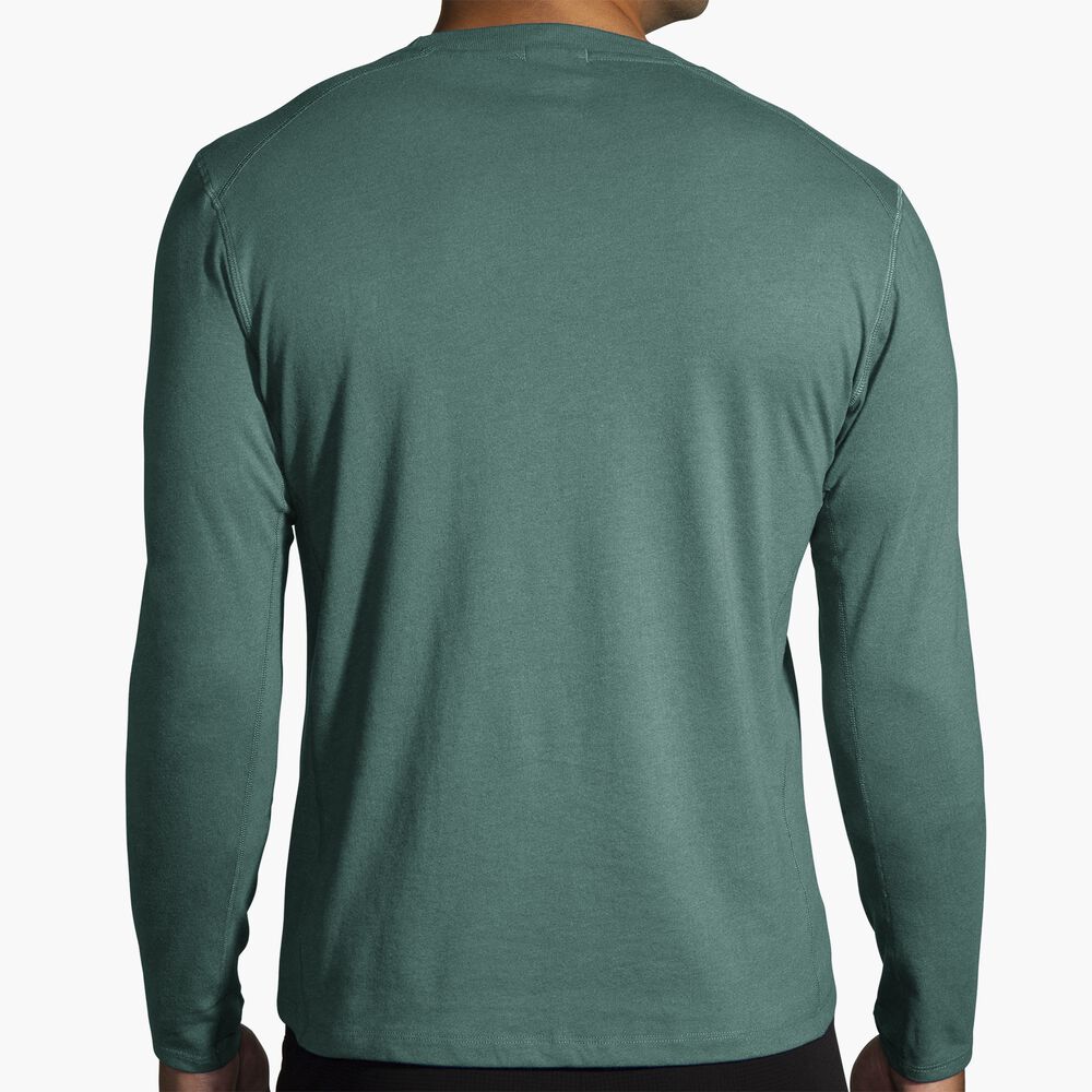Brooks Distance Long Sleeve 2.0 - Salbeigrün/BR Trail Print
