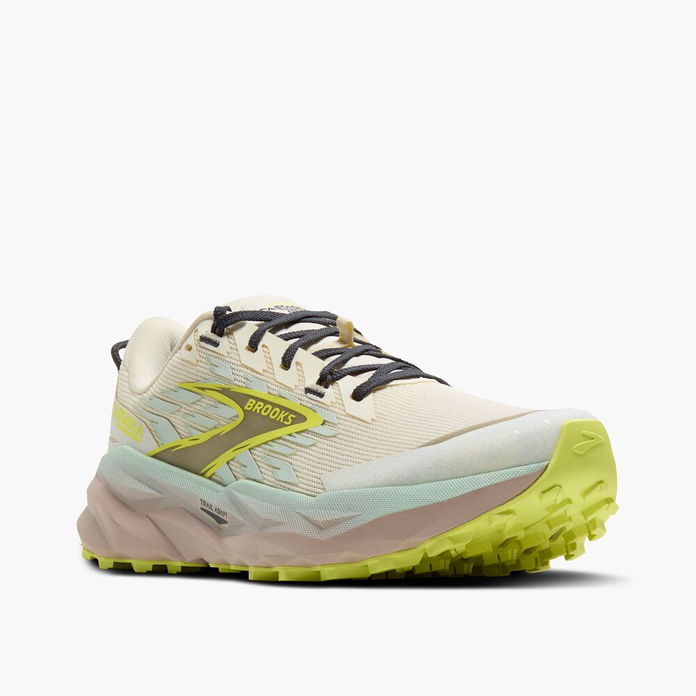 Brooks Cascadia 19 - Kokosnuss/Nebelblau/Ebenholz