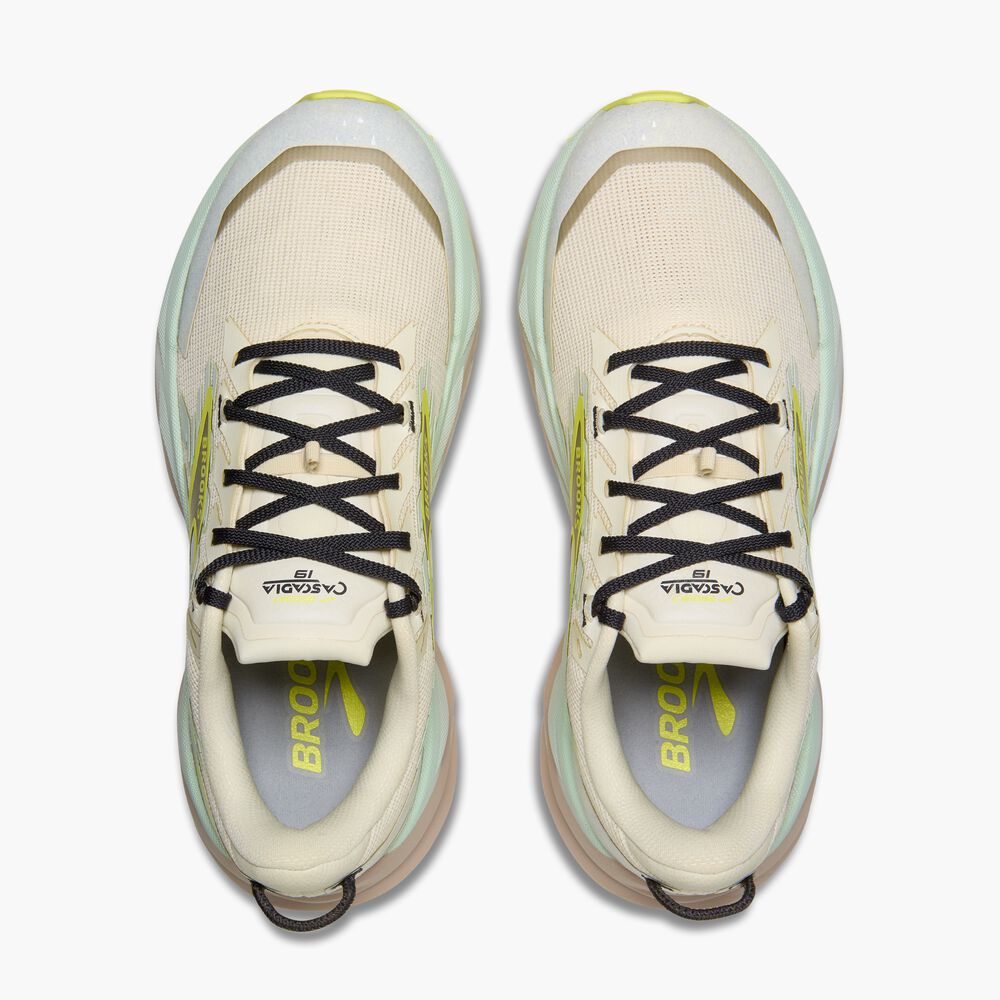 Brooks Cascadia 19 - Kokosnuss/Nebelblau/Ebenholz