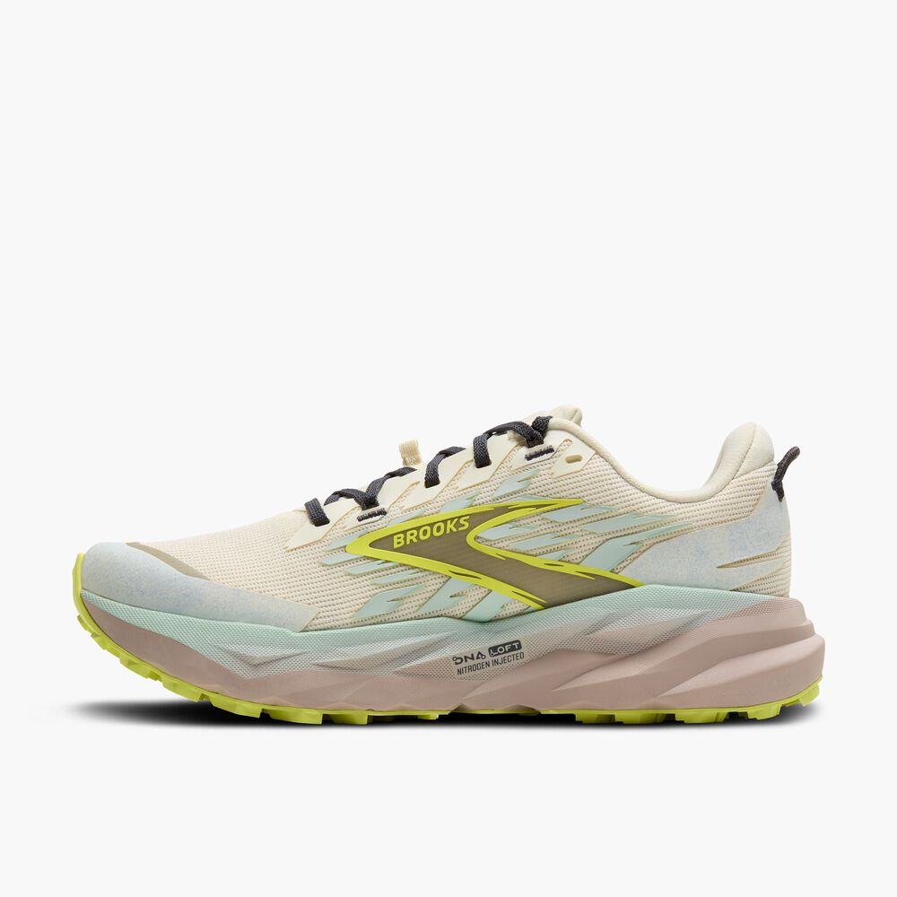 Brooks Cascadia 19 - Kokosnuss/Nebelblau/Ebenholz