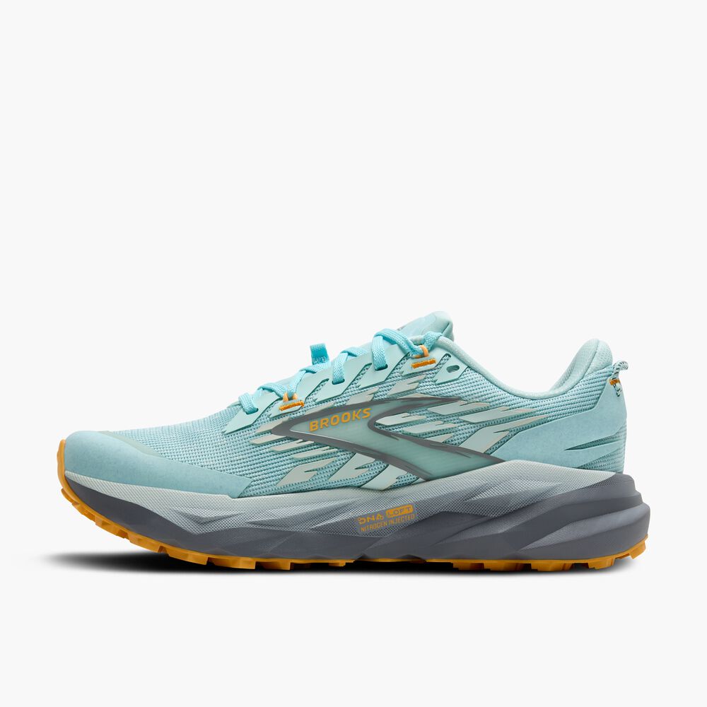 Brooks Cascadia 19 - Klarwasser/Grundierung Grau/Apricot