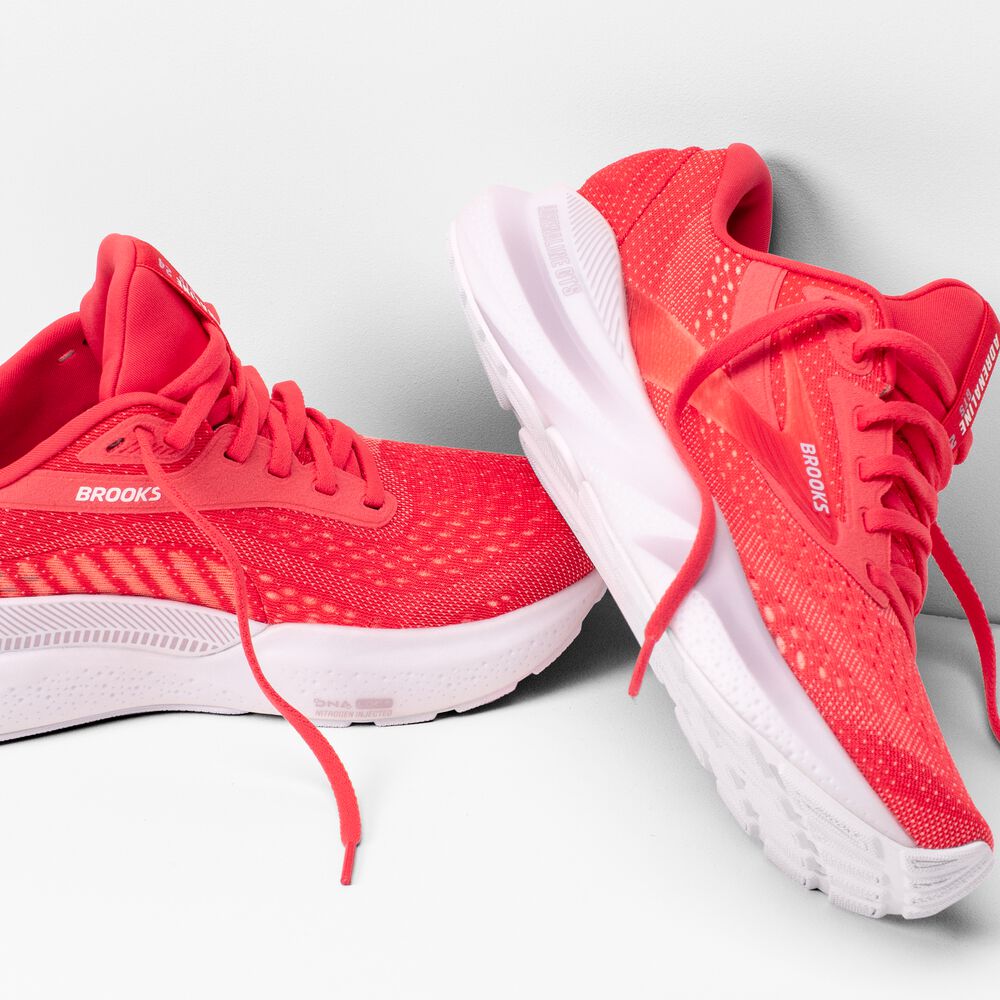 Brooks Adrenaline GTS 24 - Cayenne/Distel/Weiß