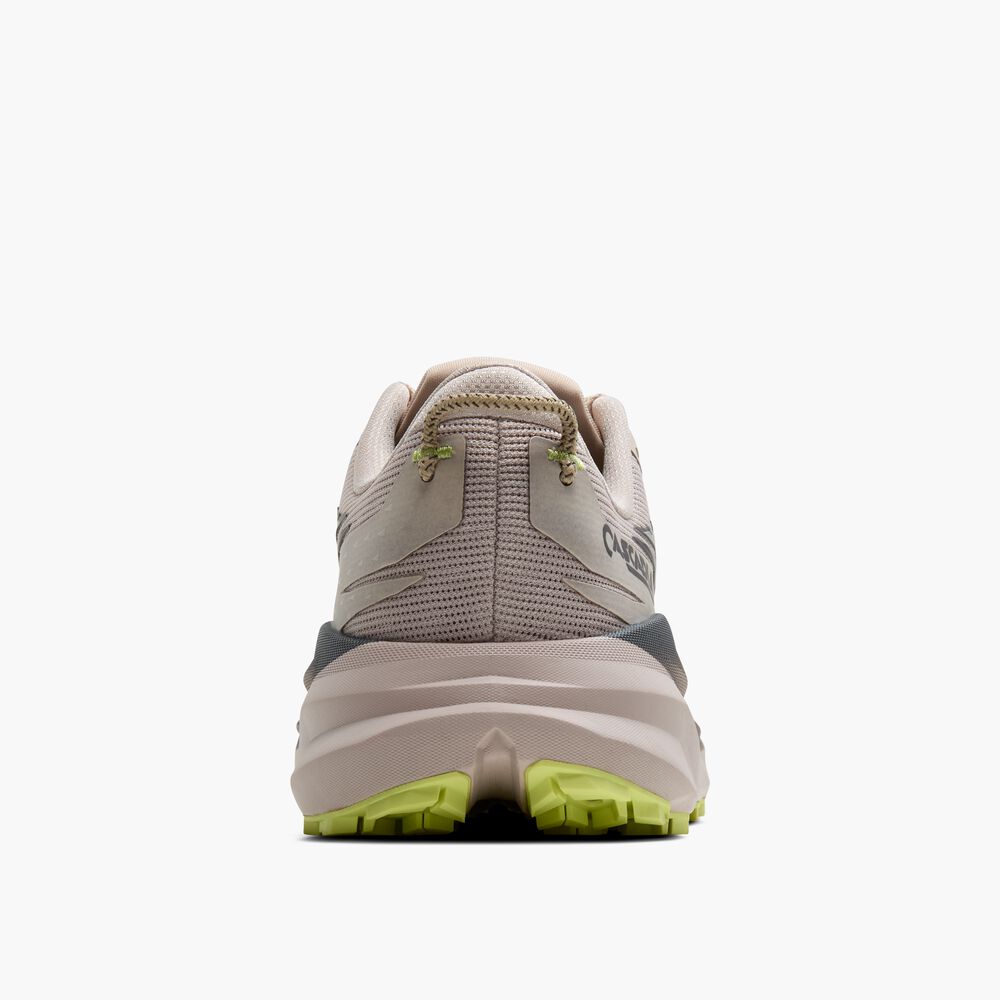 Brooks Cascadia 19 - Chateau/Ebenholz/Sonniges Limettengrün